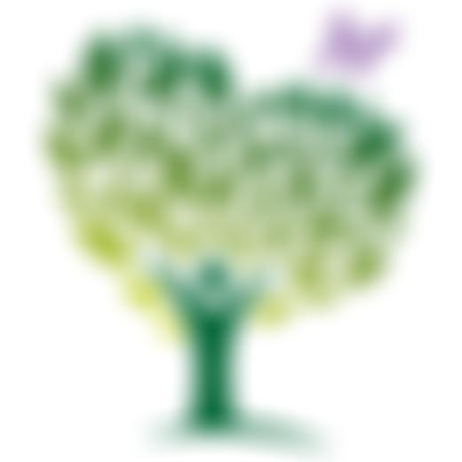 The Anna Phillips Foundation | Charici