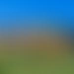 Fernhurst Recreation Ground Trust | Charici
