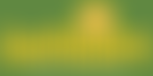 Sunflowers Children's Action Group | Charici