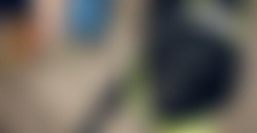 The Guide Dogs For The Blind Association | Charici