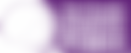 The Purple Elephant Project | Charici