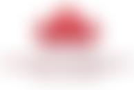 The Miranda Brawn Diversity Leadership Foundation | Charici