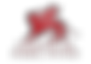 Venice In Peril Fund Cio | Charici