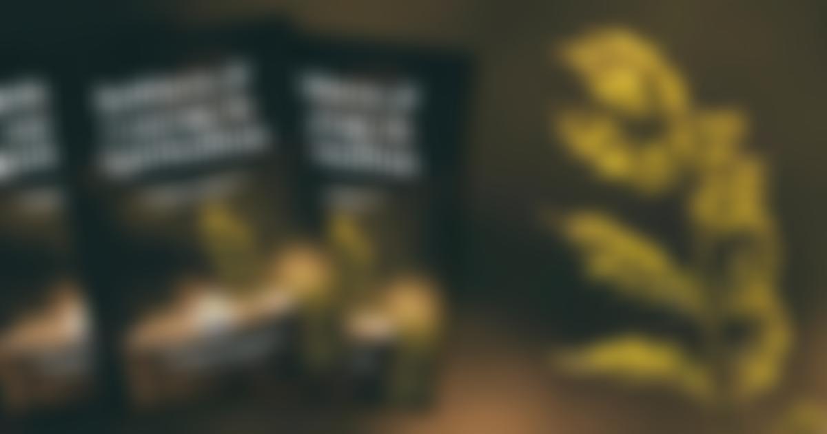 Tamworth Spiritualist Church | Charici