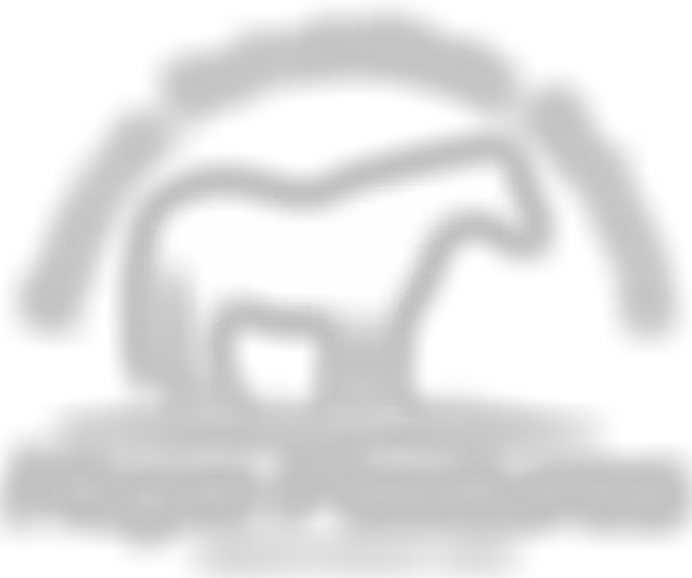 Hope Pastures Horse & Donkey Rescue And Welfare | Charici