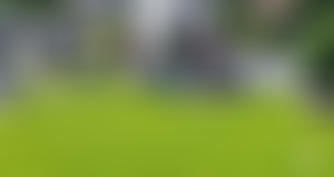 Wilstone Village Hall | Charici