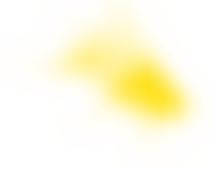 The Bee Sanctuary Movement | Charici