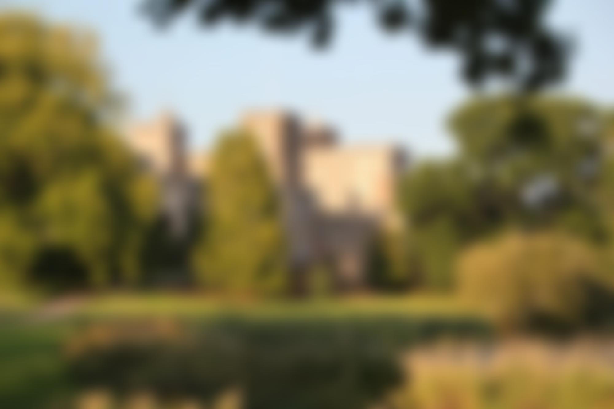 Music In The Castle | Charici