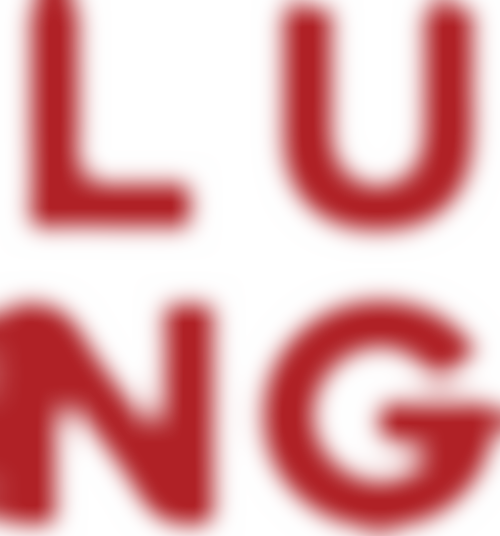 Lung Productions Cio | Charici