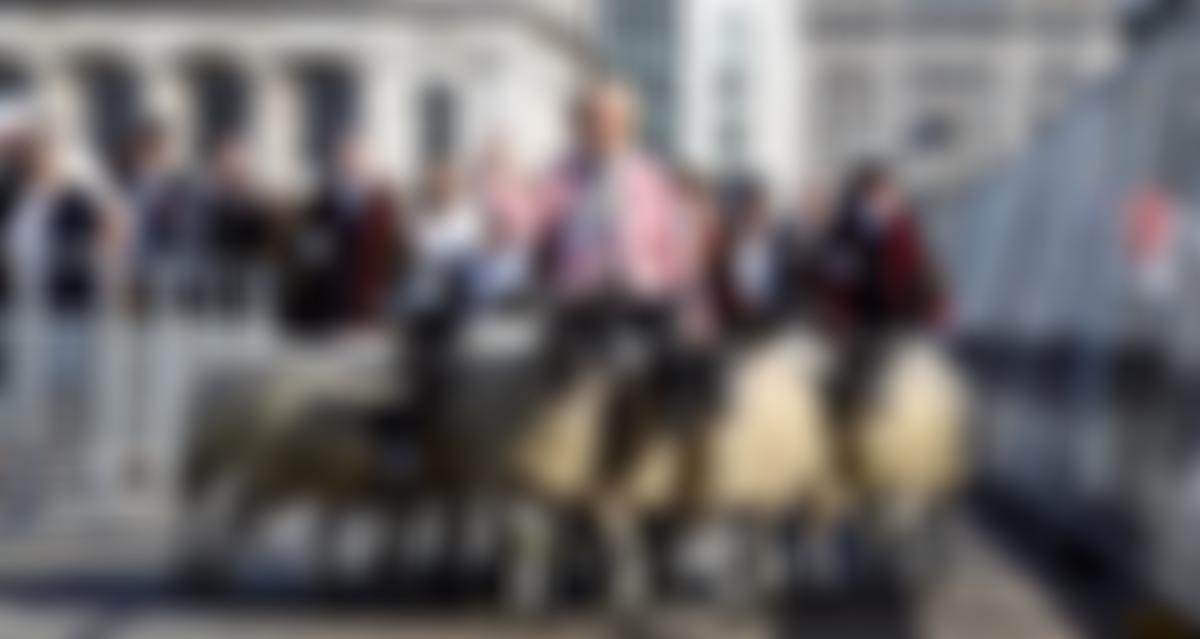 The Woolmen's Company Charitable Incorporated Organisation | Charici