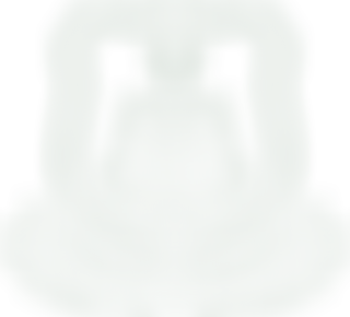 The Friends Of St Teresa's | Charici