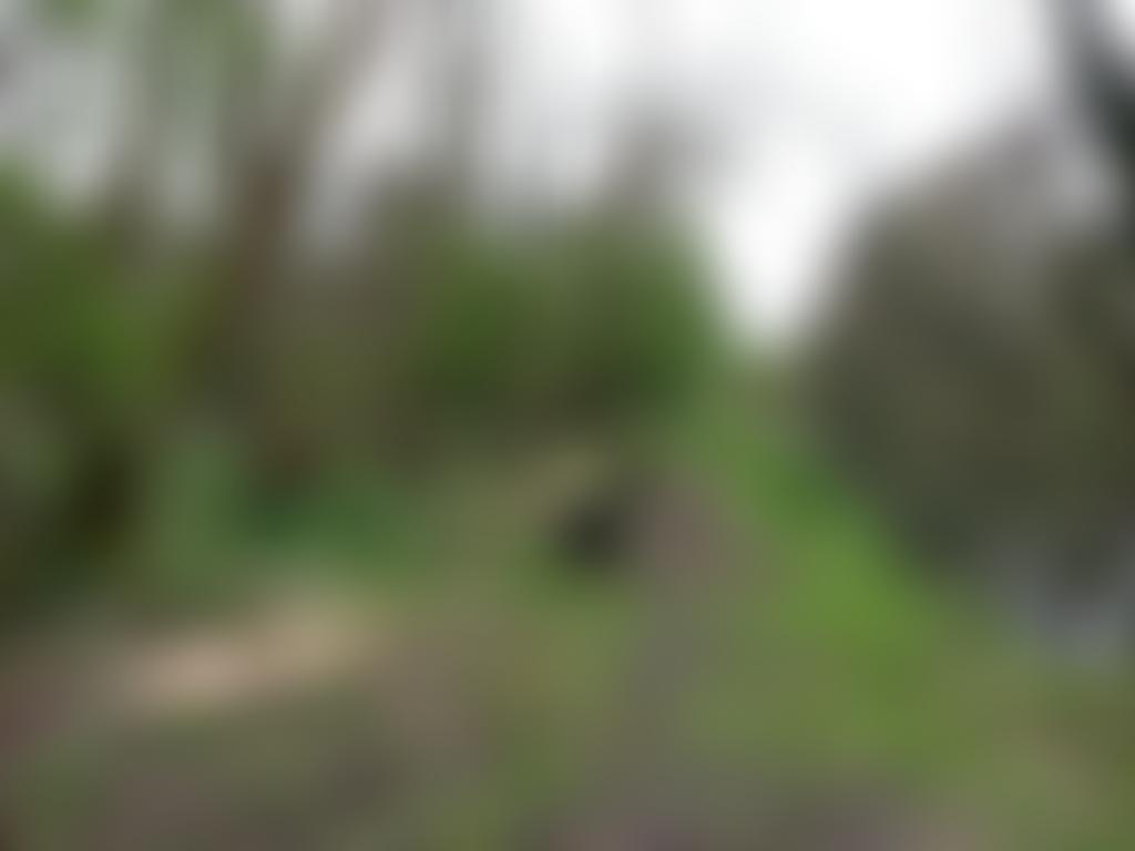 Newbury Environment And Wildlife Team | Charici