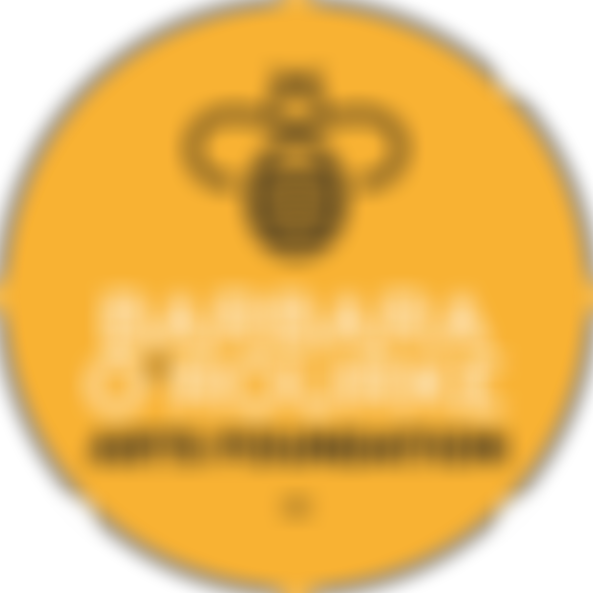 Barbara O'rourke Arts Foundation | Charici