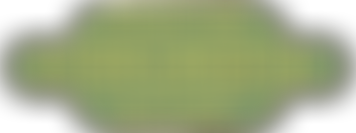 Evergreens Miniature Railway | Charici