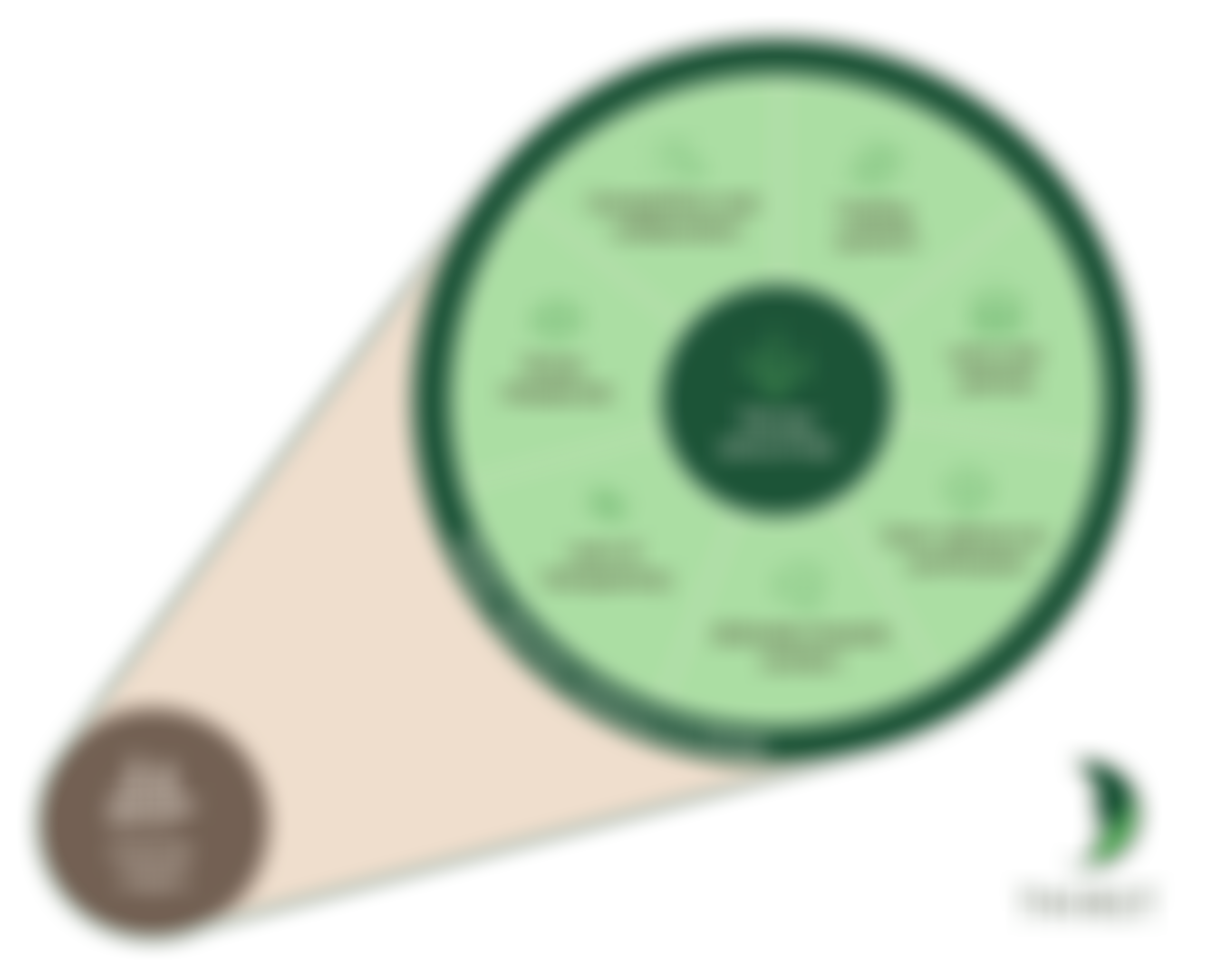 The International Roundtable For Sustainable Tea (Thirst) | Charici