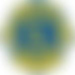 Lions Clubs International District 105Sw Foundation (Cio) | Charici