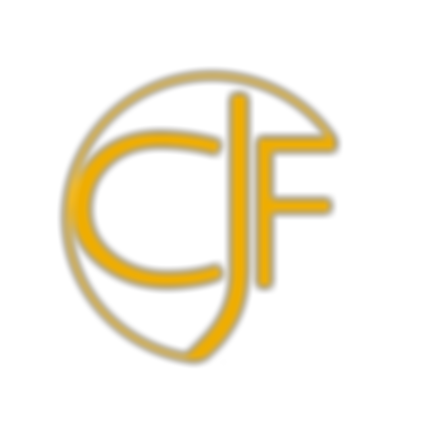 Coco Joelle Foundation | Charici