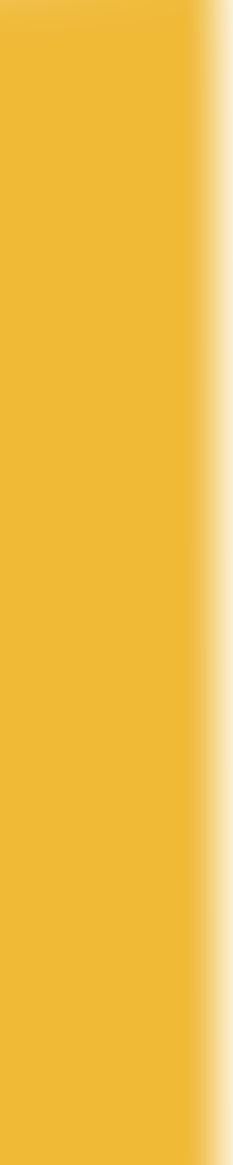 Chichester Lions Club (Cio) | Charici