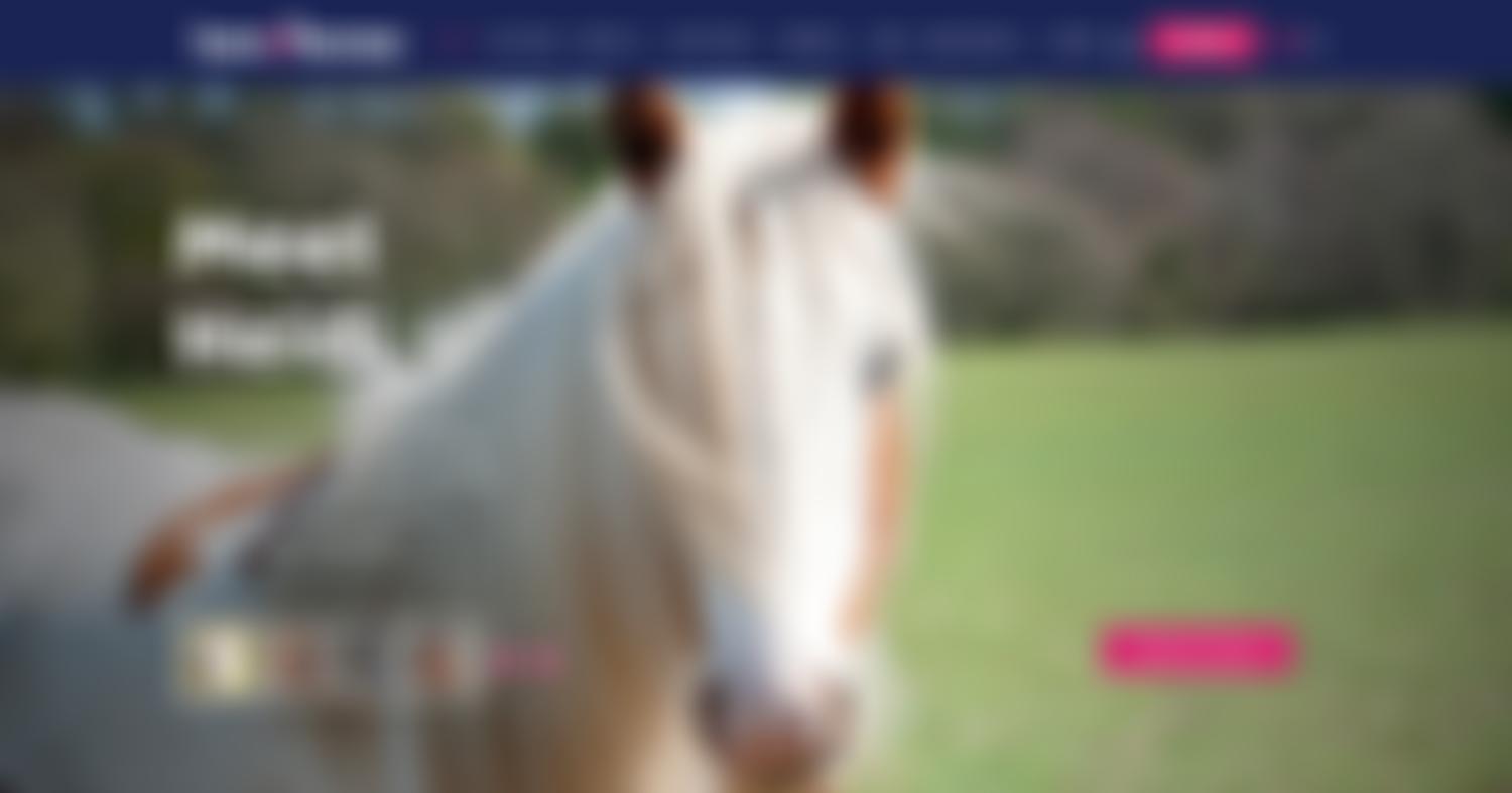 Here4Horses | Charici