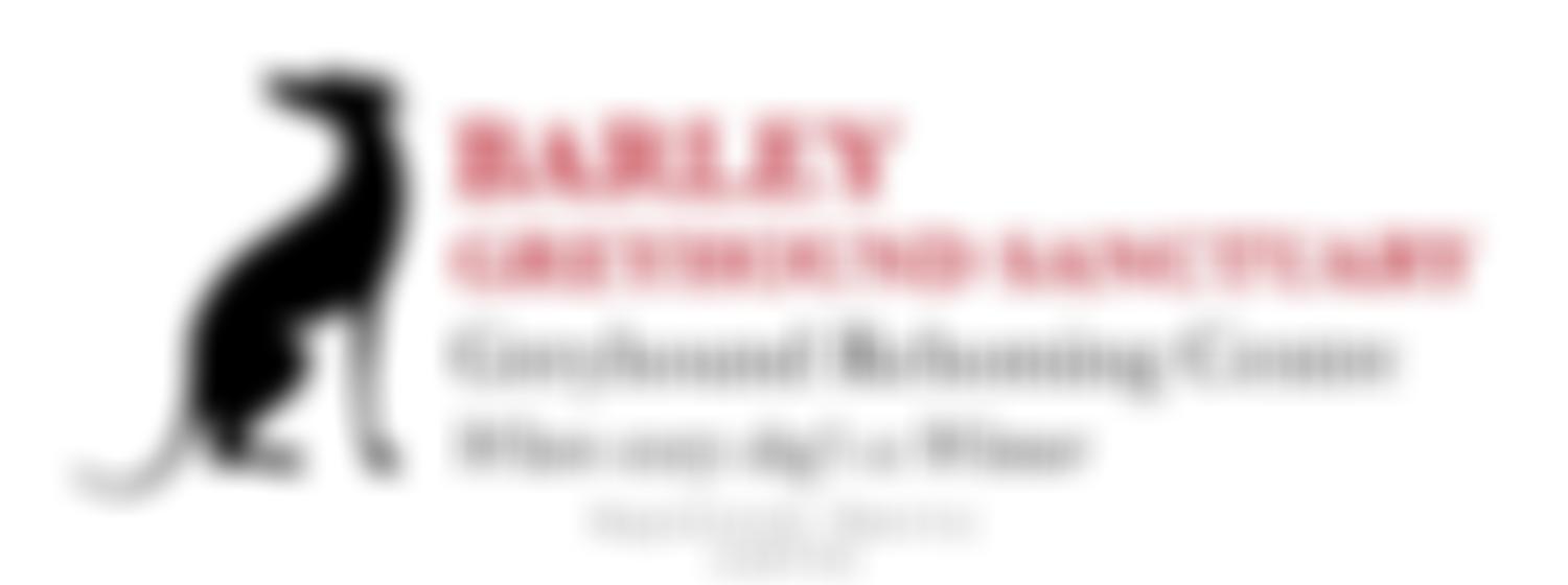 Barley Greyhound Sanctuary | Charici