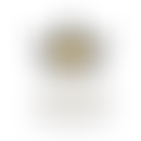 The Luke Brown Meningitis Foundation | Charici