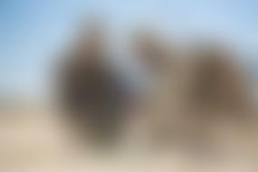 The Royal Signals Charity | Charici