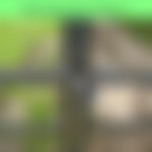 The Patchetts Green Bridleways Trust Cio | Charici