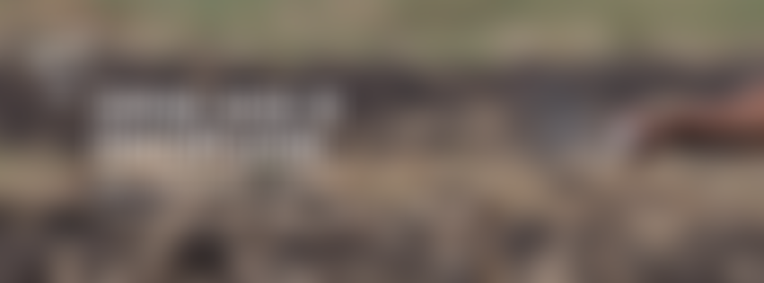 Wccm In The UK | Charici