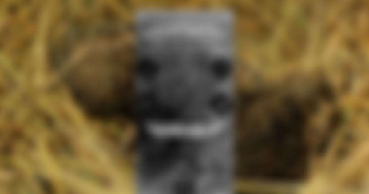 Hornbeam Wood Hedgehog Sanctuary | Charici