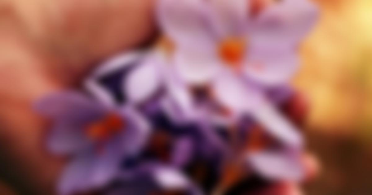 Talk Changes | Charici