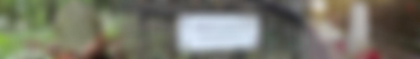 The Friends Of Horton Cemetery | Charici