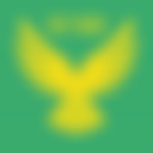 Wallsend Harriers And Athletic Club | Charici