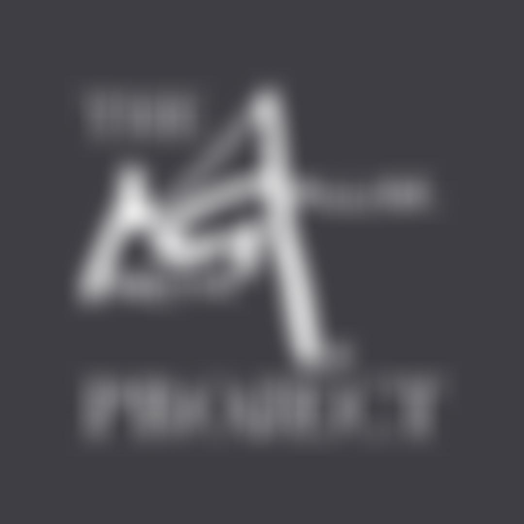 The Martin Gallier Project | Charici