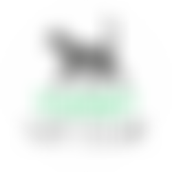 Thanet Cat Club | Charici