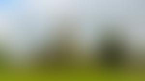 The Bartlett Taylor Charitable Trust | Charici