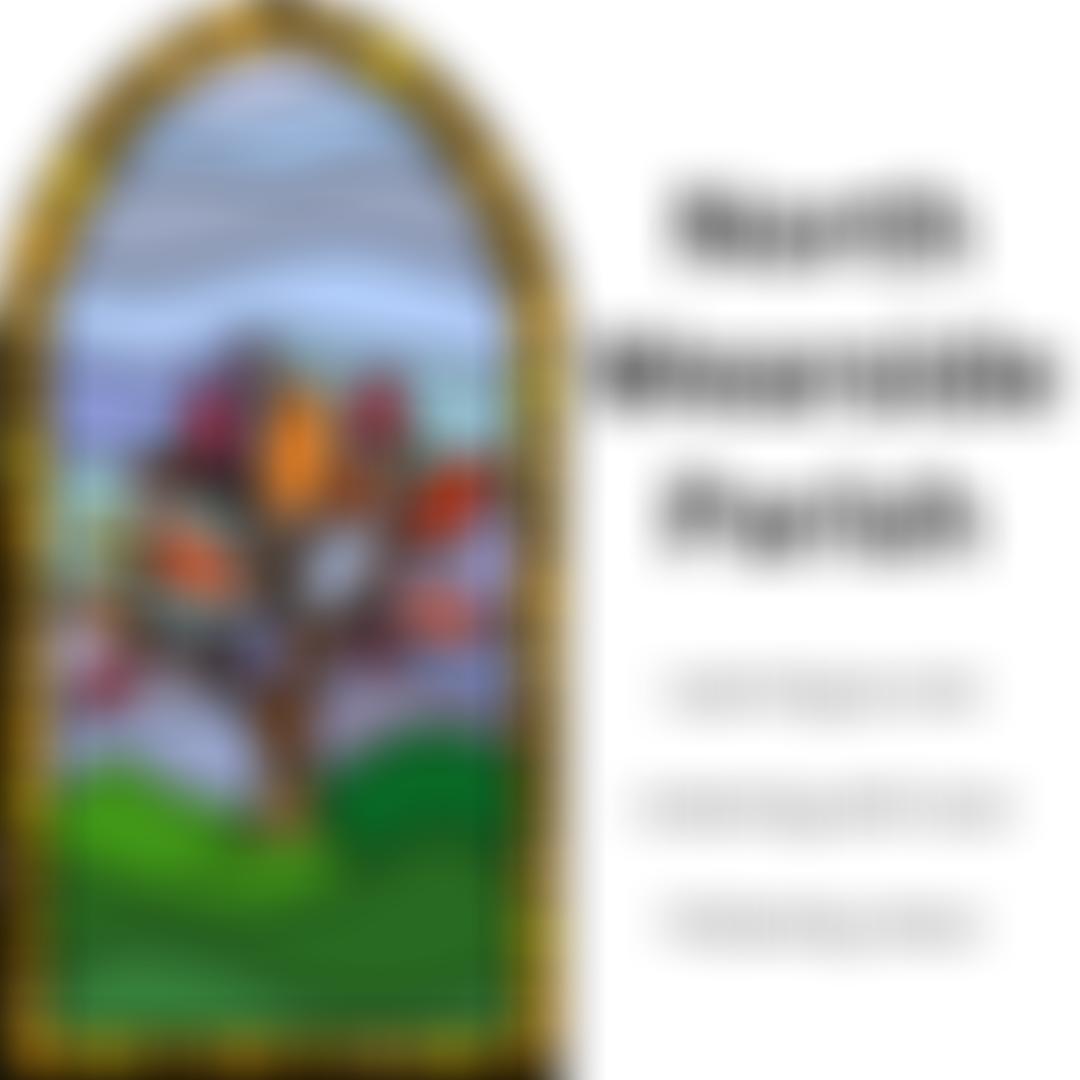 The Parochial Church Council Of The Ecclesiastical Parish Of North Wearside | Charici