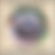 London Colney Hedgehog Rescue | Charici