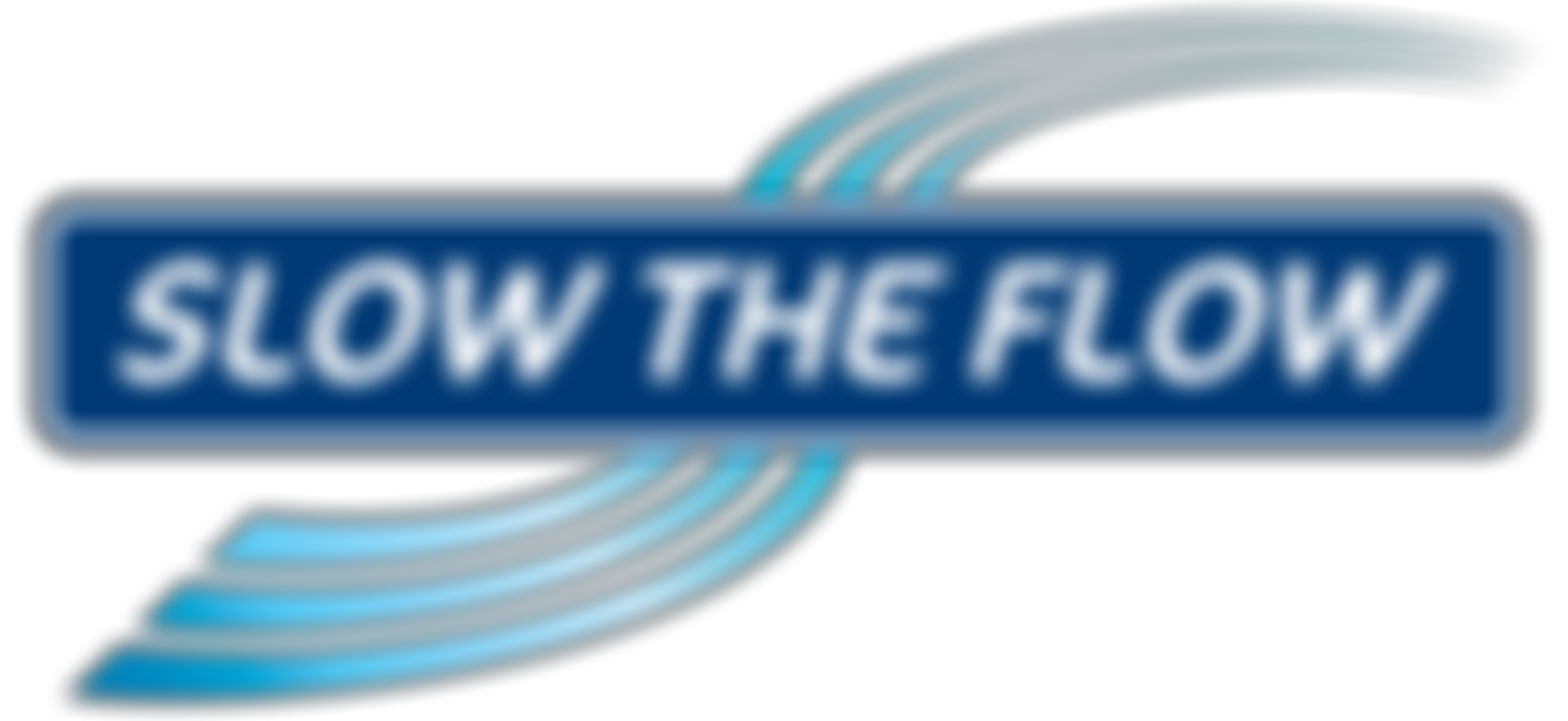 Slow The Flow | Charici