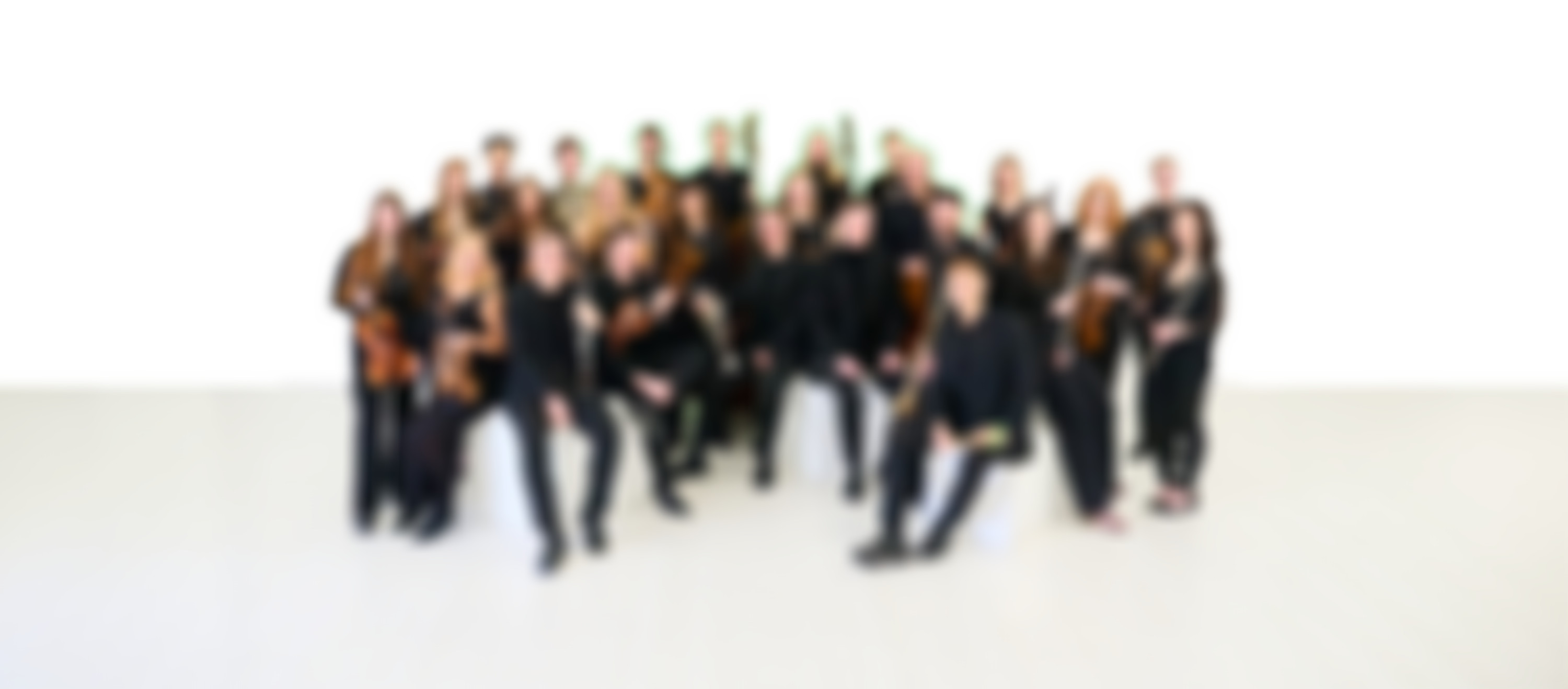 Fantasia Orchestra | Charici