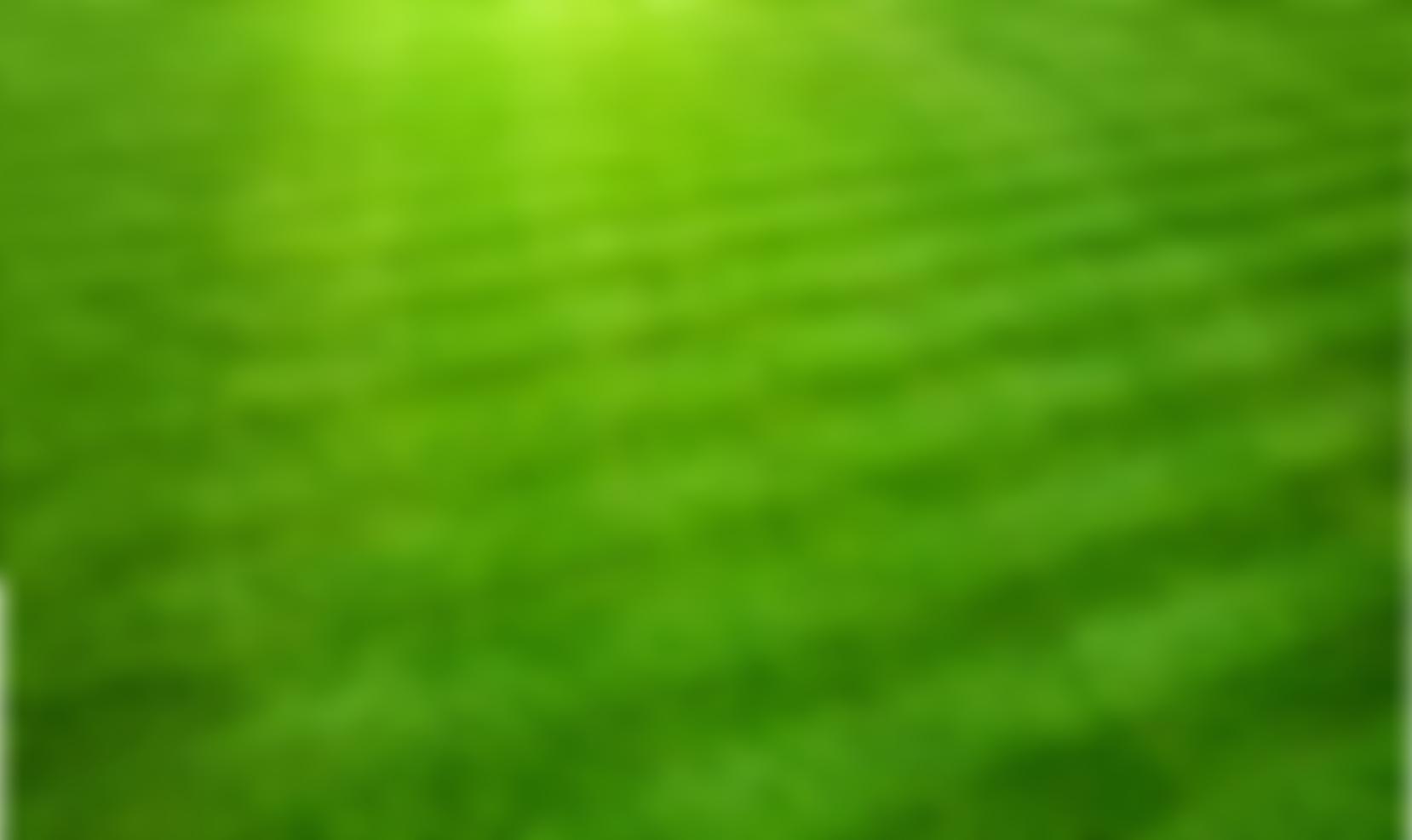 Northampton Croquet Club | Charici