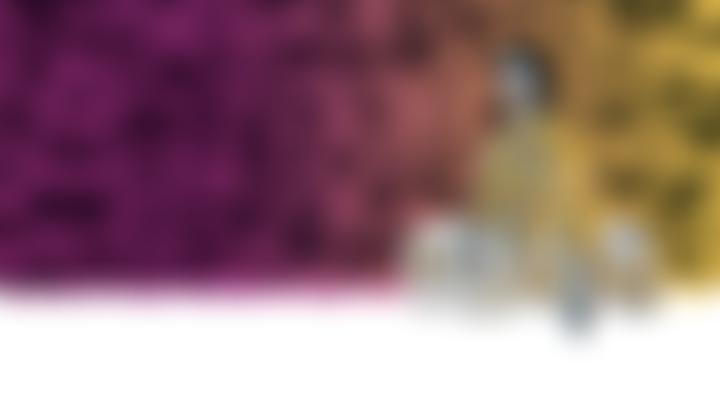 Donne Foundation | Charici