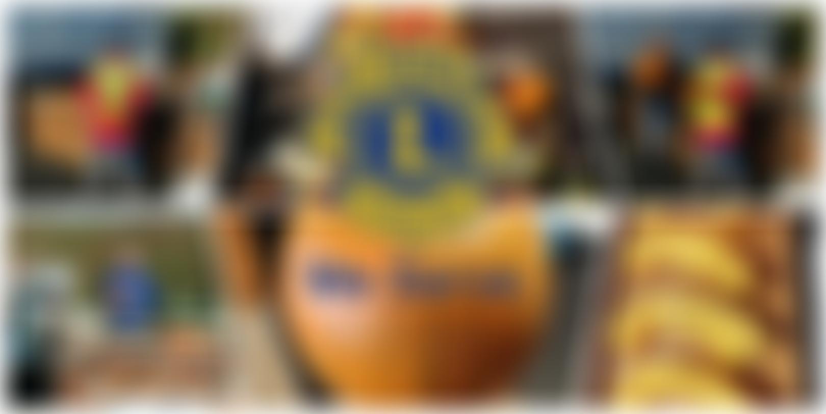 East Anglia New Century Lions Club | Charici