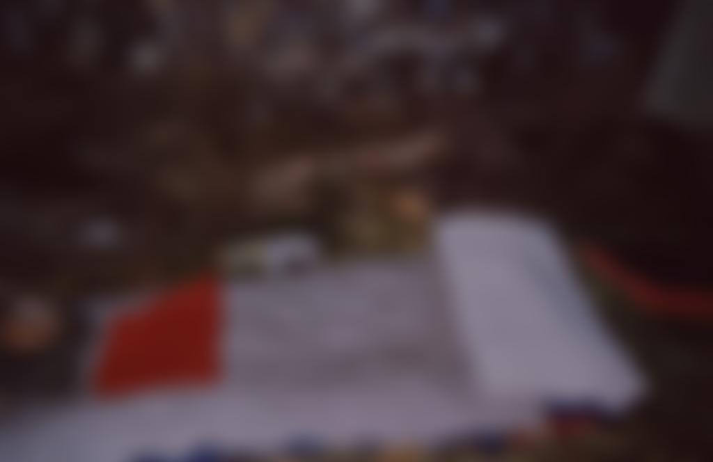 Fieldnotes | Charici