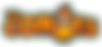 The Conies | Charici