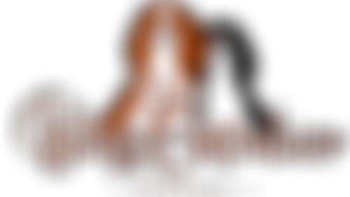 Bliss Cavalier Rescue Ltd | Charici