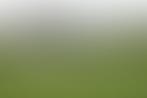 London Youth Sports Trust Limited | Charici