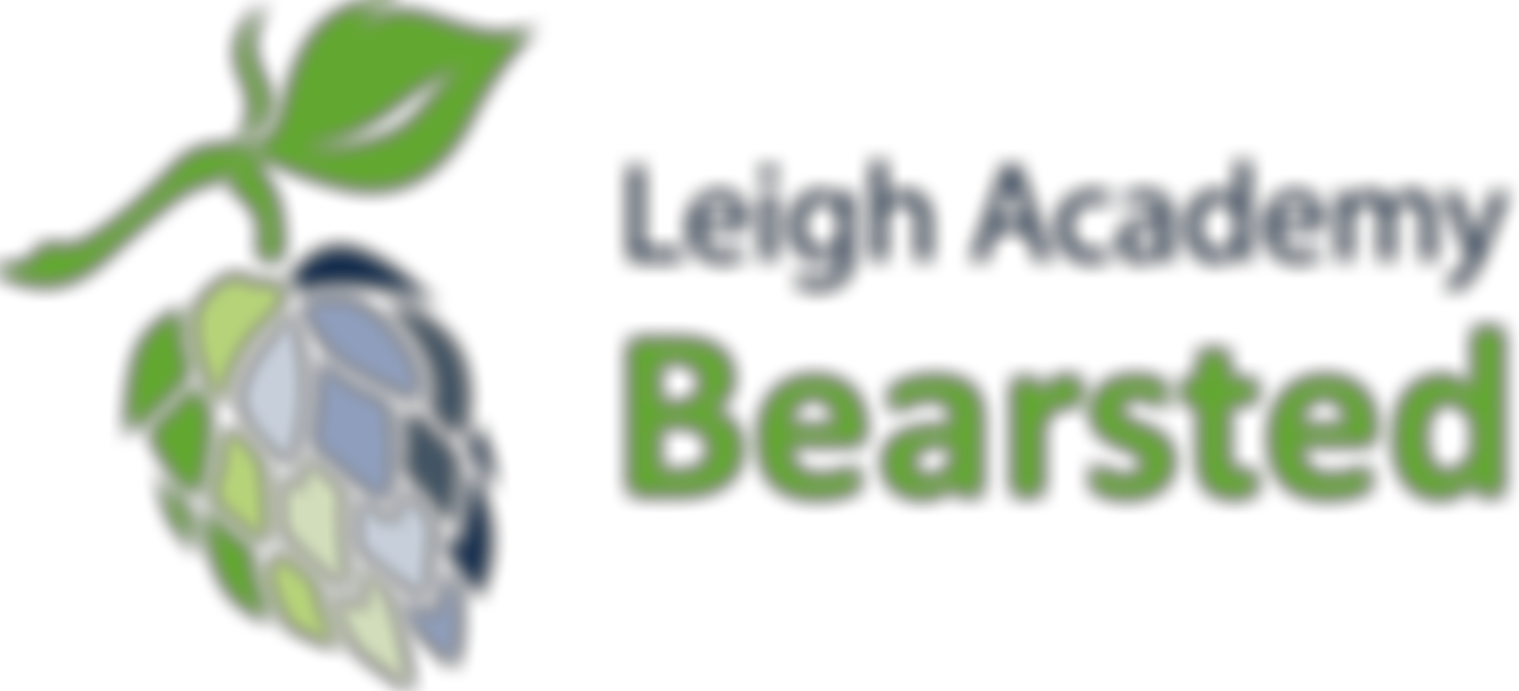 Bearsted Primary Academy Pta | Charici