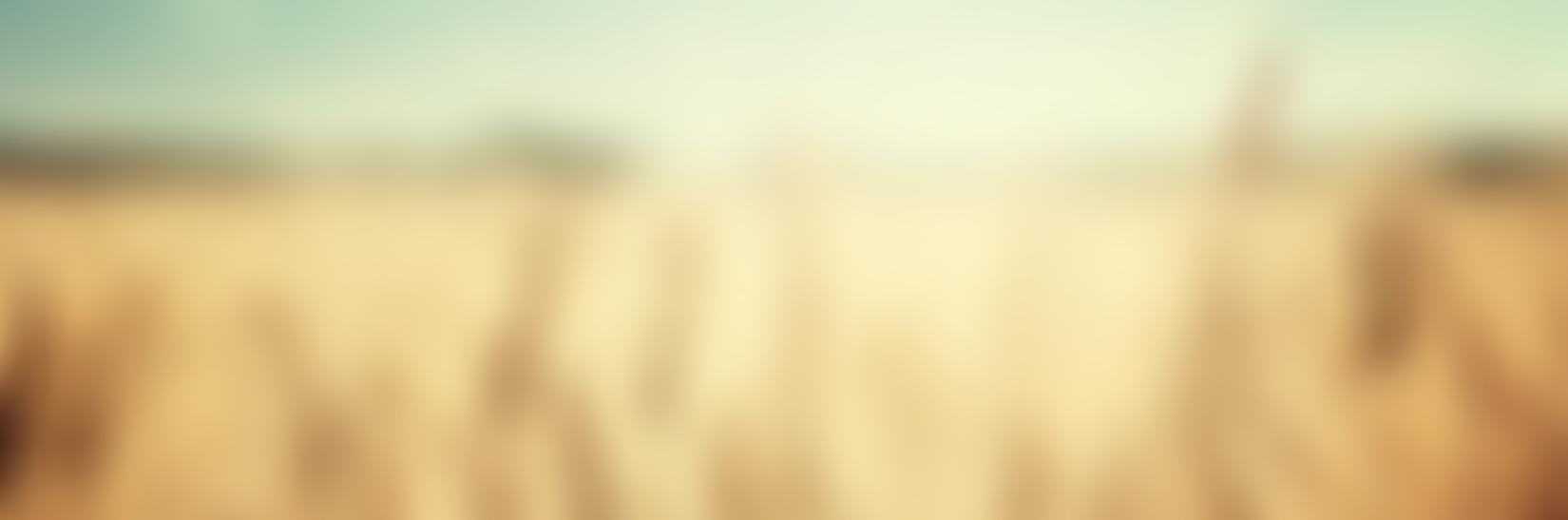 Poole Revival Fellowship | Charici