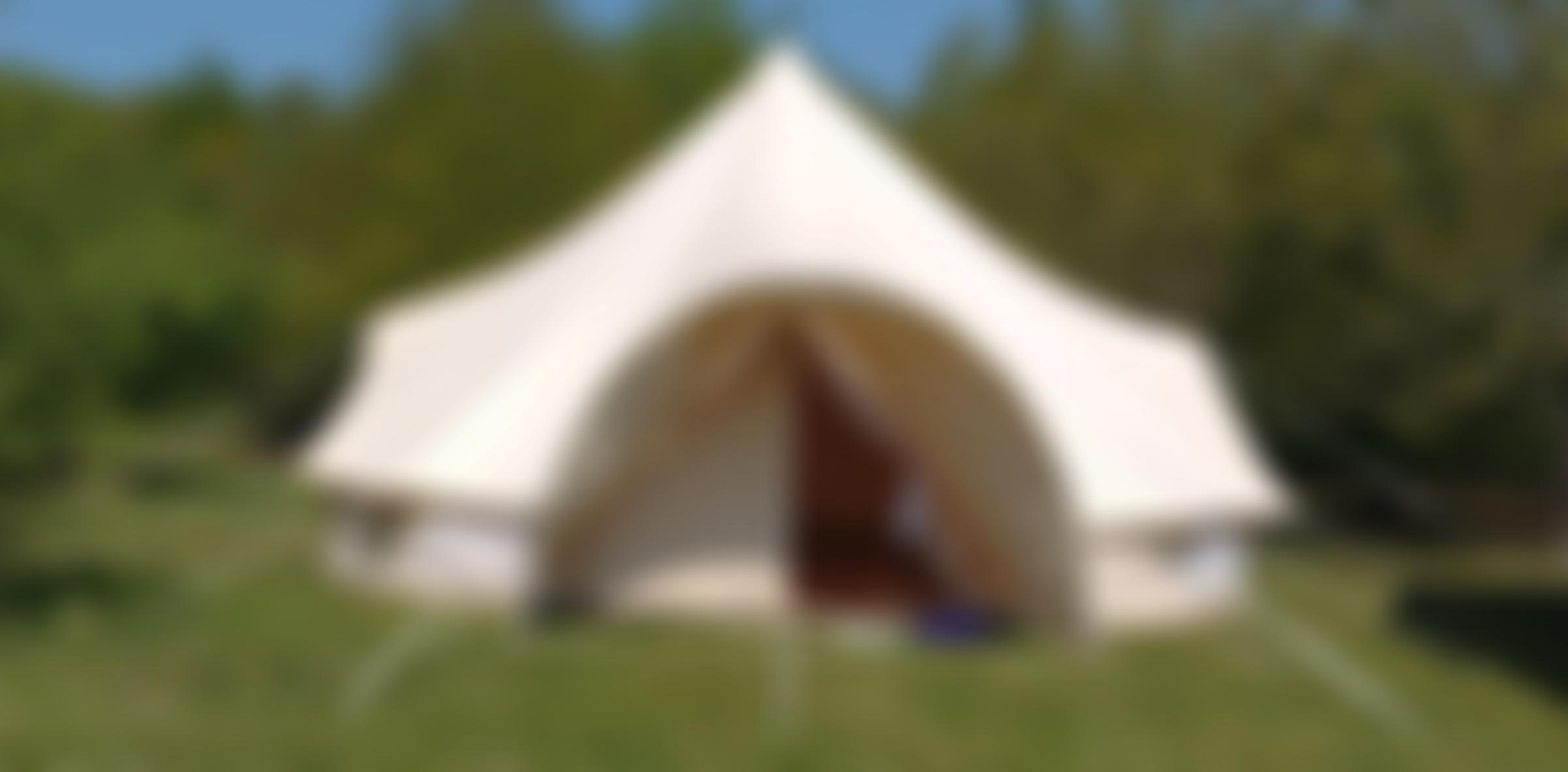 The Discover Network | Charici