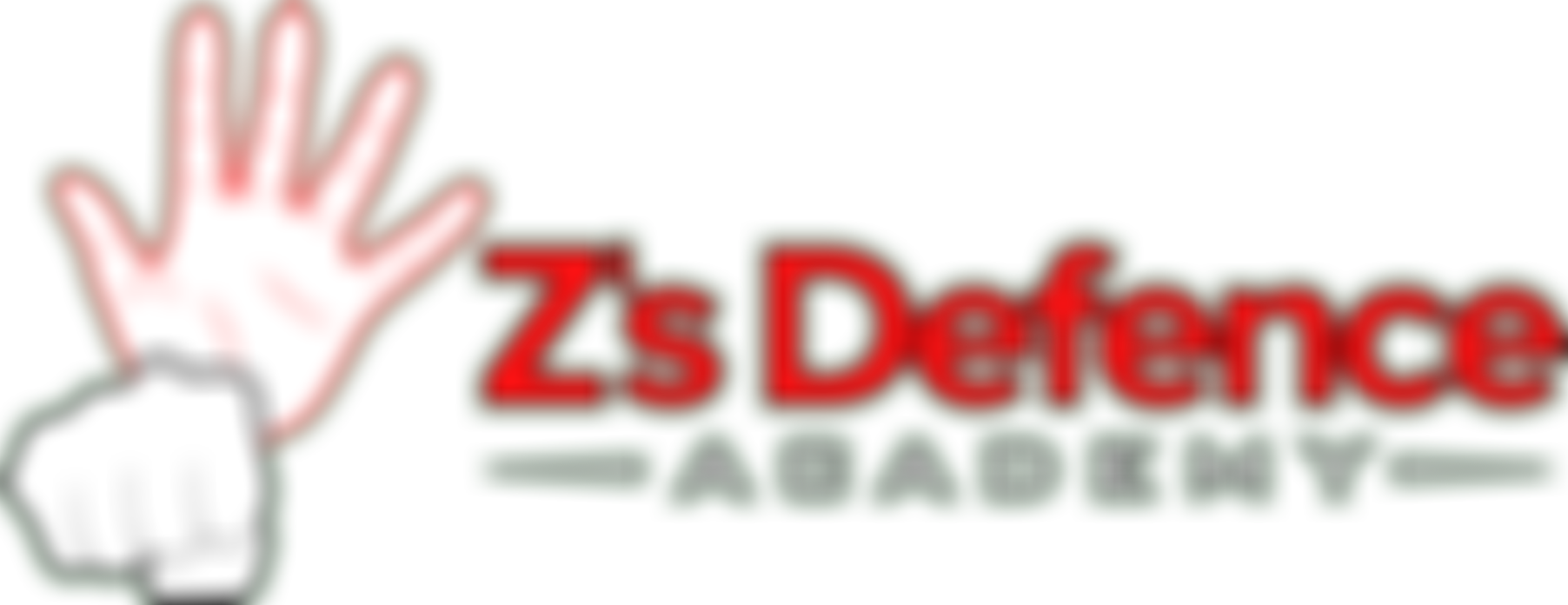 Z's Defence Academy | Charici